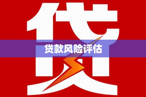 东兰贷款风险评估