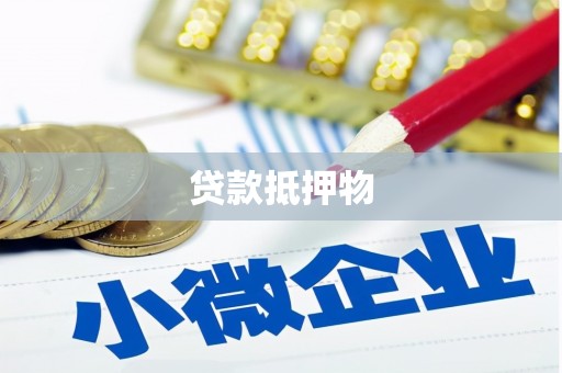 东兰贷款抵押物