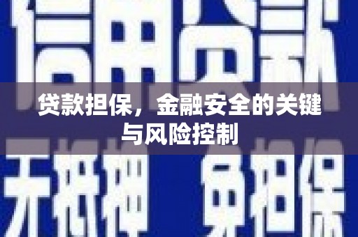 东兰贷款担保，金融安全的关键与风险控制