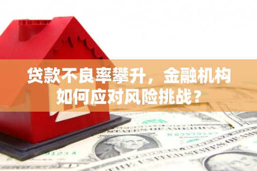 东兰贷款不良率攀升，金融机构如何应对风险挑战？