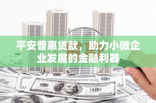 东兰平安普惠贷款，助力小微企业发展的金融利器