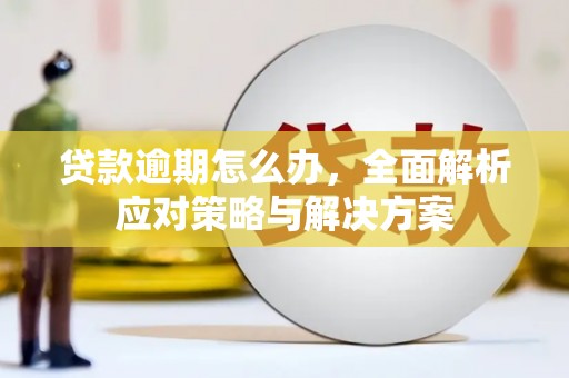 东兰贷款逾期怎么办，全面解析应对策略与解决方案