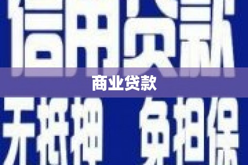 东兰商业贷款