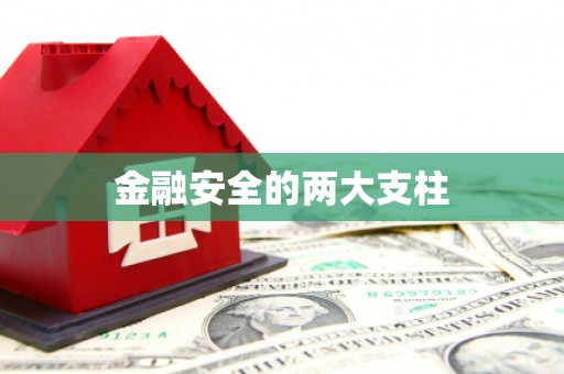 东兰金融安全的两大支柱