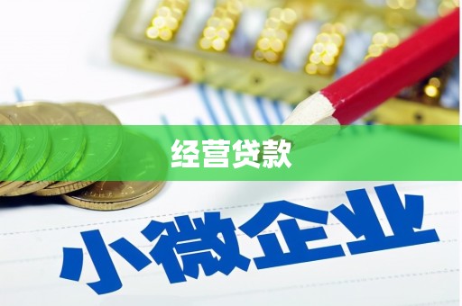 东兰经营贷款